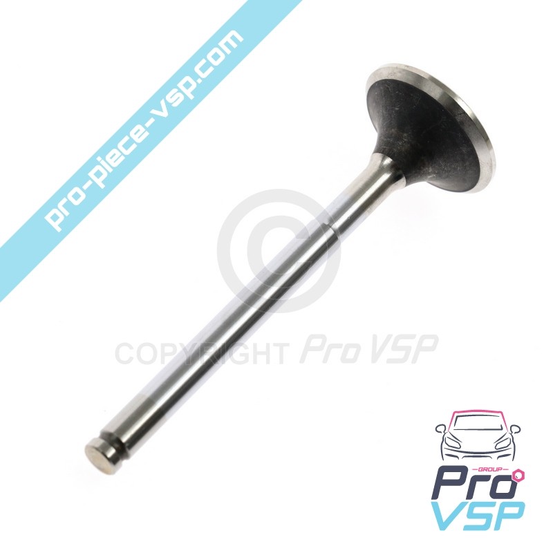 Exhaust valve