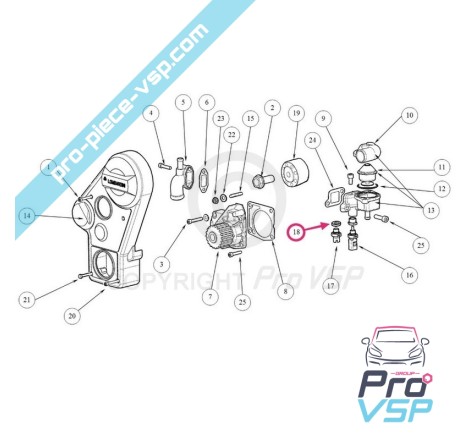 Cap conjunto ou sensor de temperatura do motor Lombardini Focs, Progress