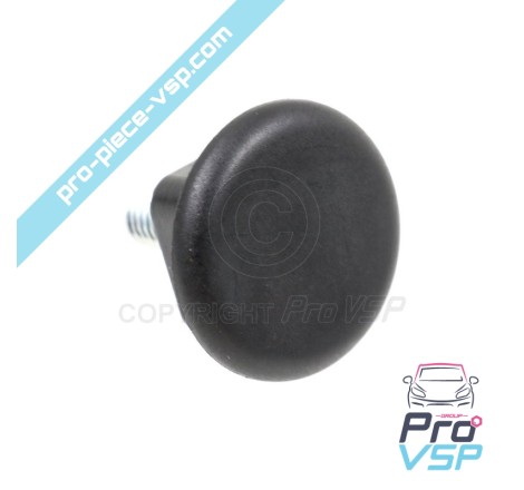 Bumper fixing screw