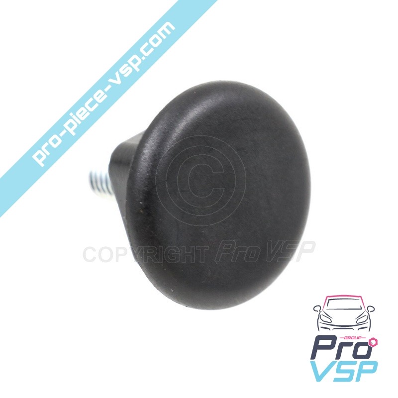 Bumper fixing screw