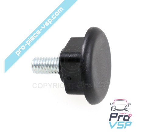 Bumper fixing screw