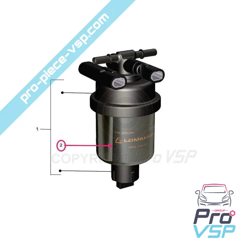 Anpassungsfähiger Gas-Filter für Lombardini-Motor dci