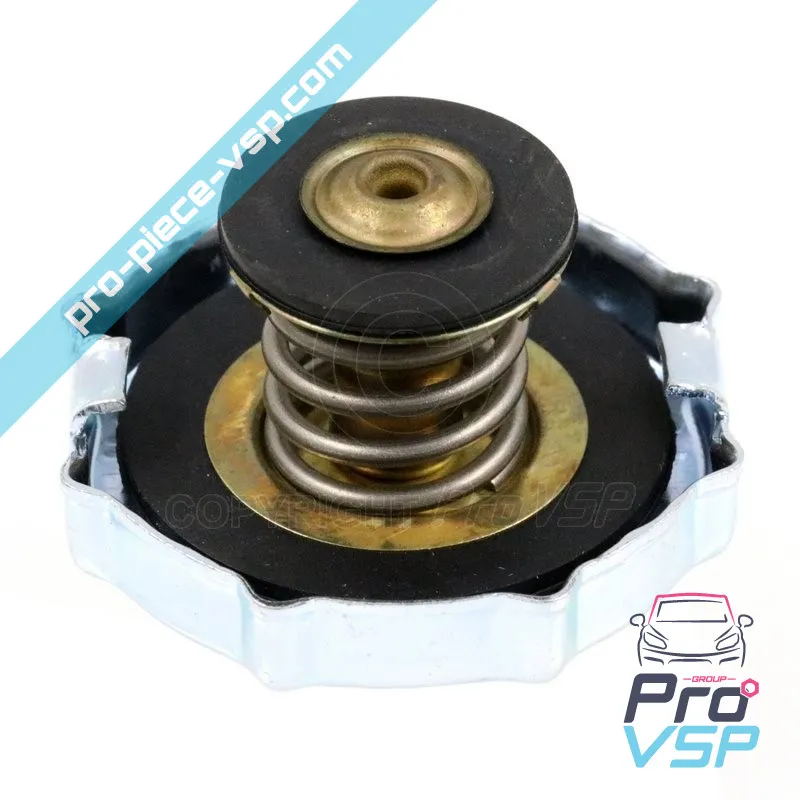 Radiator cap for Greek eke