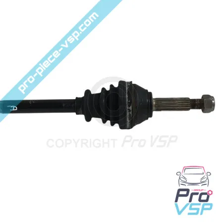 Giusto Cavan per Microcar Lyra