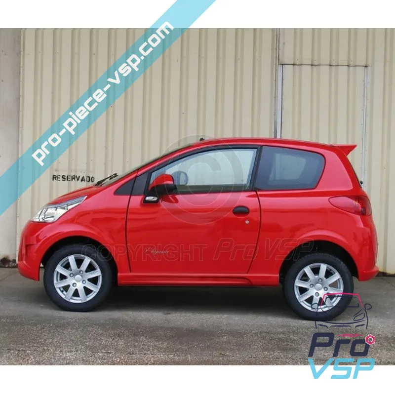 Tuning Word JDM aloes