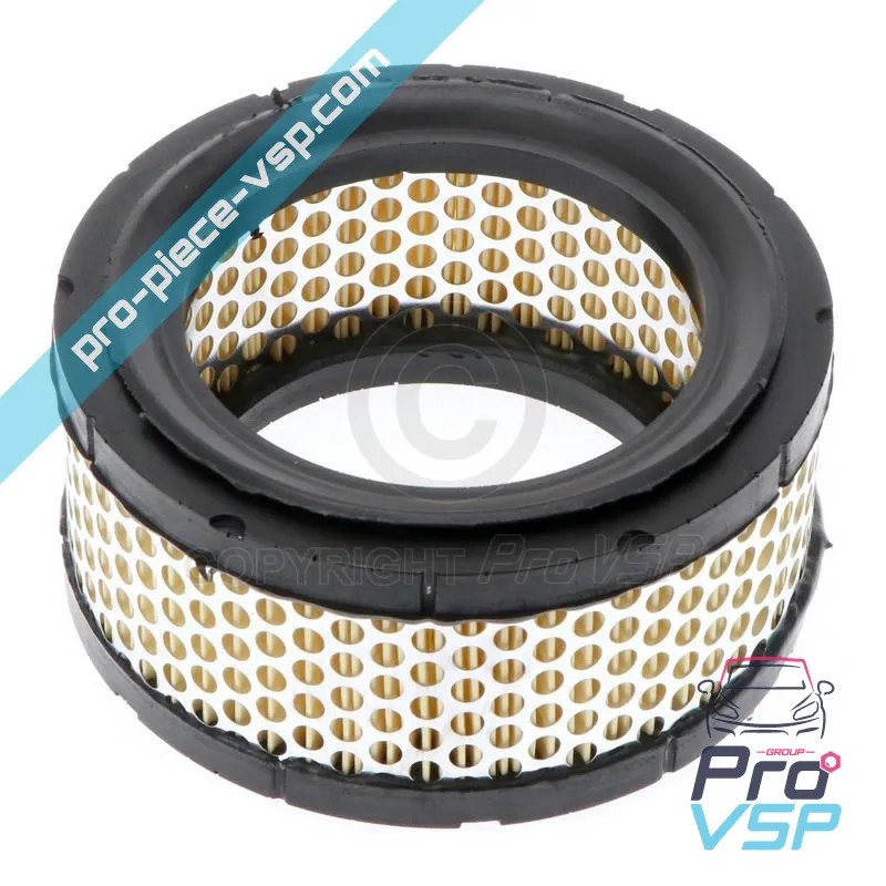 Filtro de aire para Casalini motor Mitsubishi (1er conjunto)