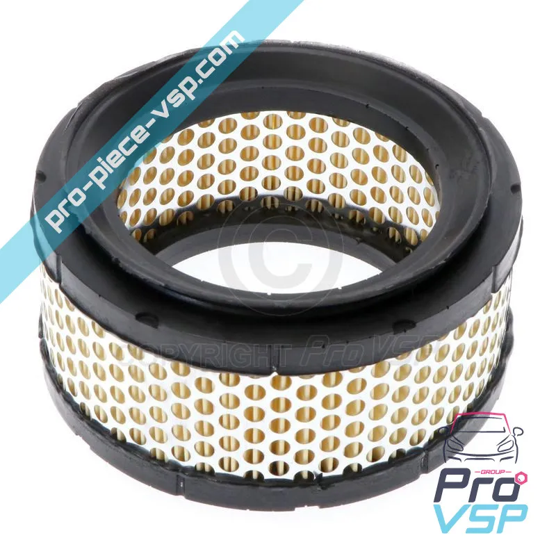 Filtro de ar para Casalini motor Mitsubishi (1ª montagem)