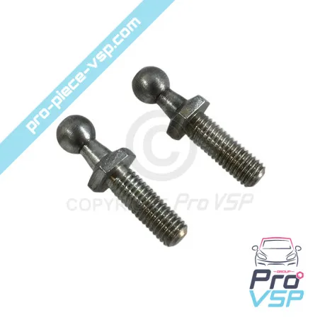 Oportunidades para versos de tailgate para ligier nova