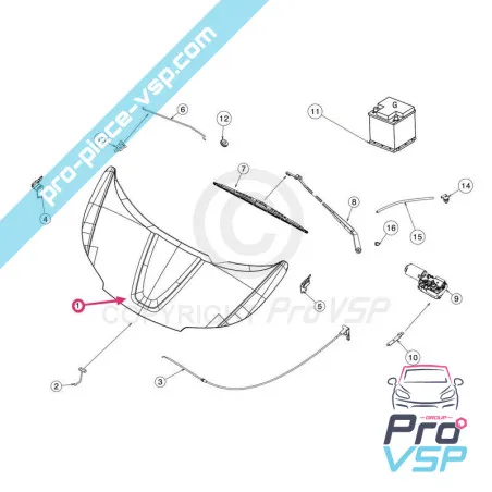 Capucha de fibra adaptable para Jdm Roxsy