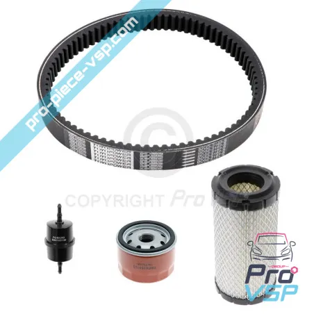 Kit de mantenimiento con cinturón Ligier Microcar Dué