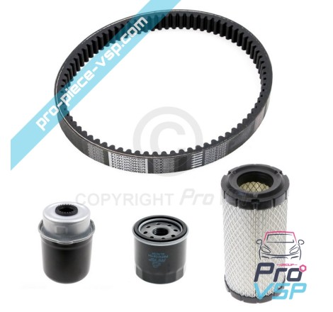 KIT Wartung mit Gürtel für Ligier Microcar Dué Chatenet Grecav Bellier