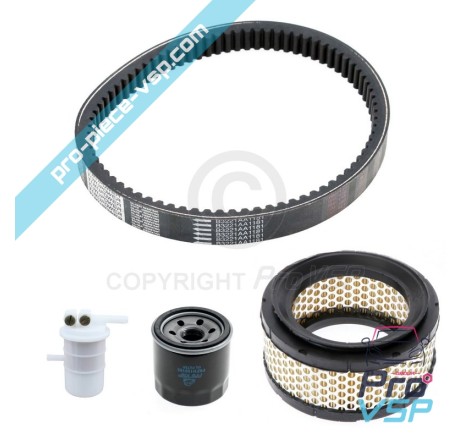 KIT Wartung mit Gürtel für Casalini Sulky Sulky Pick-up