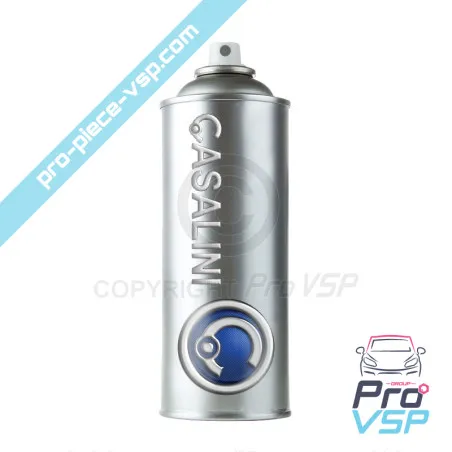Bombe de peinture teinte constructeur voiture sans permis casalini