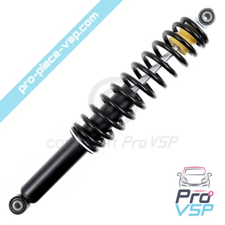 Rear shock absorber adaptable for Chatenet