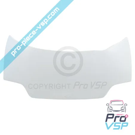 Anpassungsfähige Faserhaube für Ligier 162