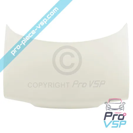 Anpassungsfähige Faserhaube für Microcar Lyra