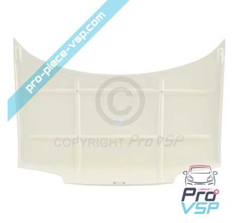 Capa de fibra adaptável para Microcar Lyra