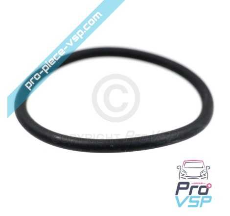 Gasoil tank seal