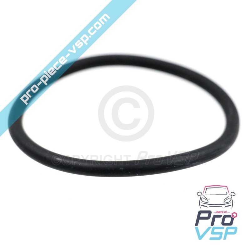 Gasoil tank seal