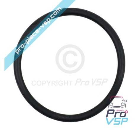 Gasoil tank seal