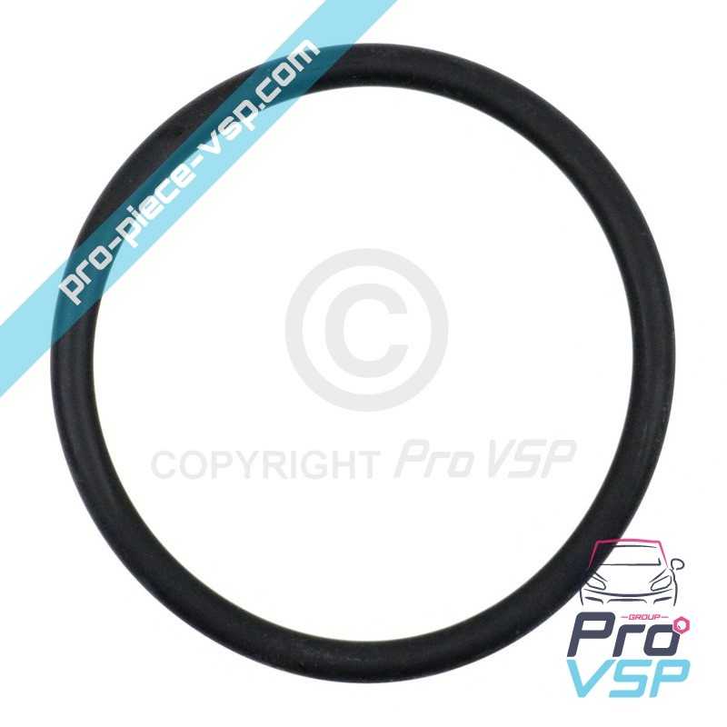 Gasoil tank seal