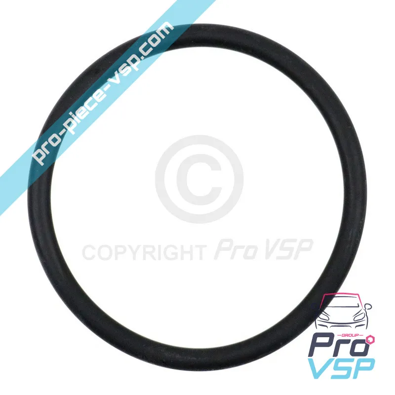 Gasoil tank seal