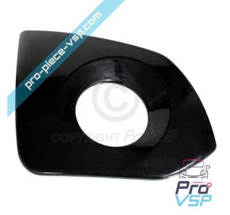 Left rear plastron