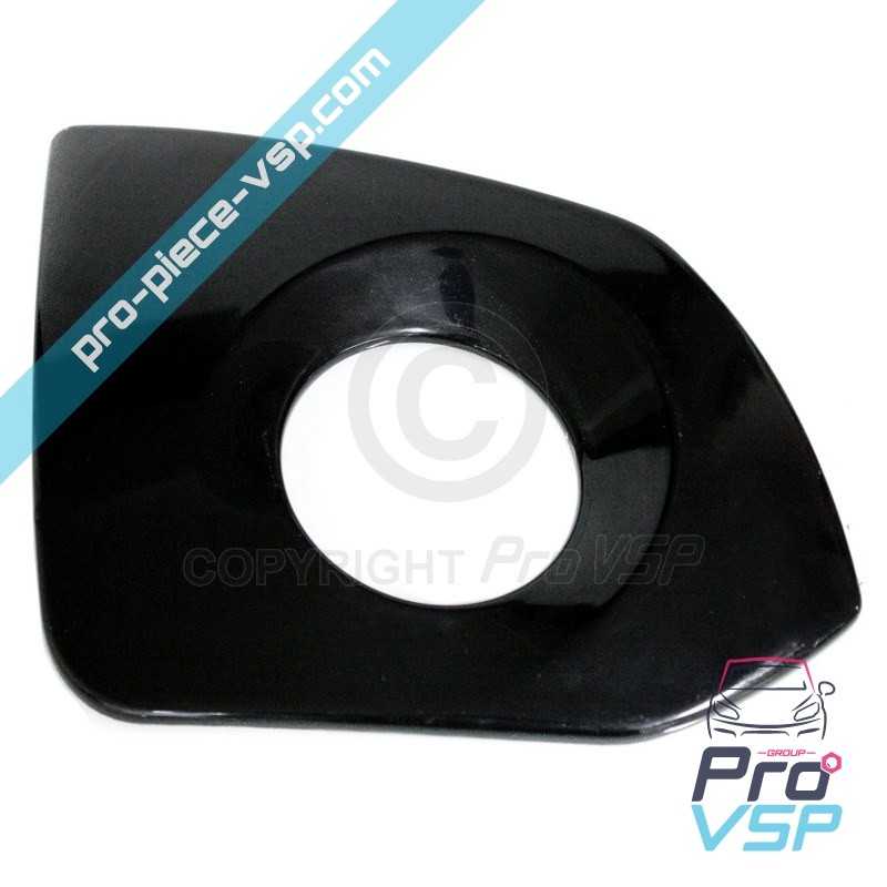 Left rear plastron