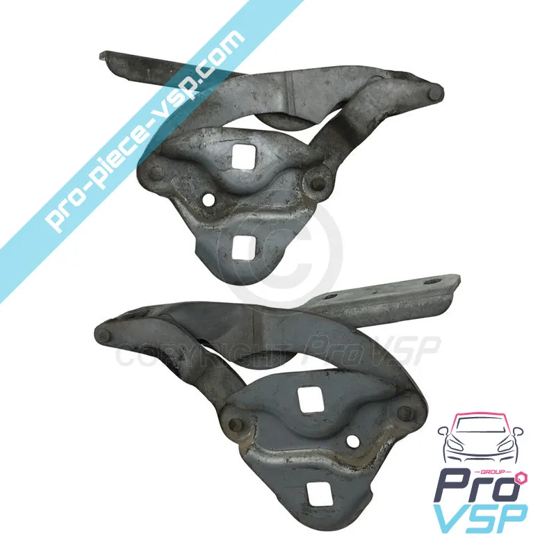 Charnière de capot occasion pour Chatenet