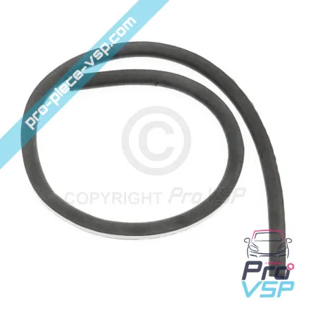 Leuchtturm Entourage-Siegel für Aixam Von 2008 bis 2013