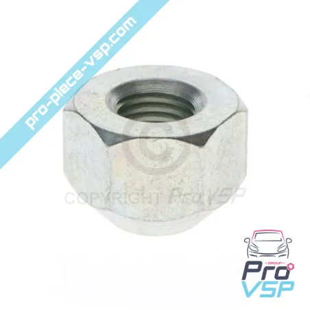 Wheel nut for Aixam (sheet metal rim)