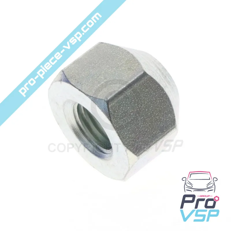 Wheel nut for Aixam (sheet metal rim)