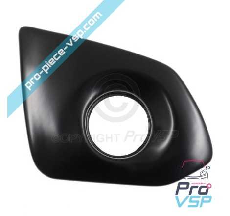 Left rear plastron