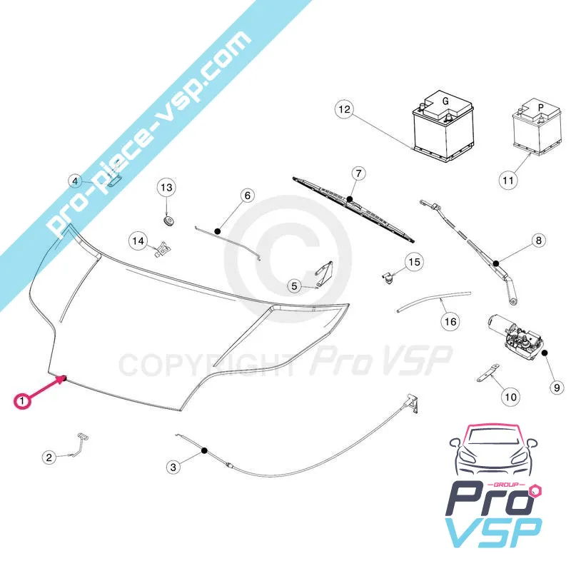 JDM Simpa Hood aloes