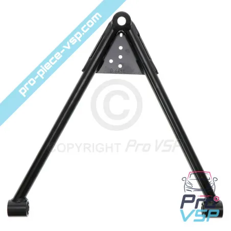 Originea triunghiului frontal pentru microcarul LIGier datorat