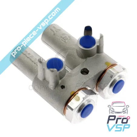 Origine del dispatcher del freno per Aixam