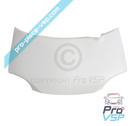 Ligier capot nova