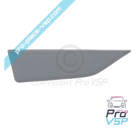 Left door trim