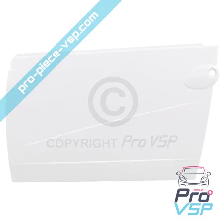 Left door outer panel origin for Ligier