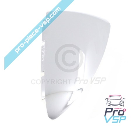 Chrome Case of Right Mirror
