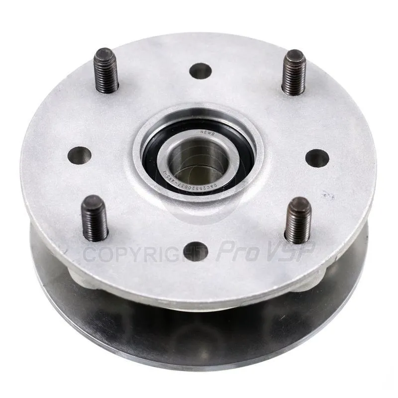 Complete rear brake disc