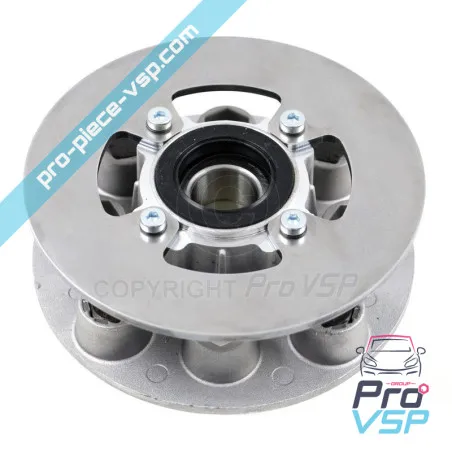 Full rear hub for Casalini Bellier