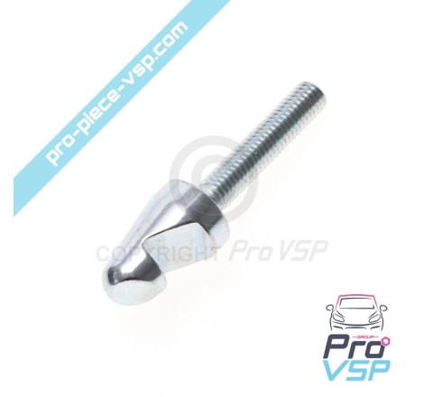Heckklappe Guach für Ligier nova xtoo max Rs Rs optimax ixo und Mikrocar cargo m8