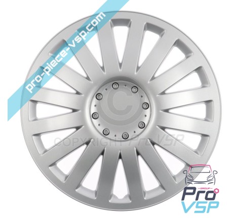 13 inch Smart hubcap