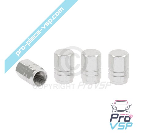 Gray aluminum valve cap