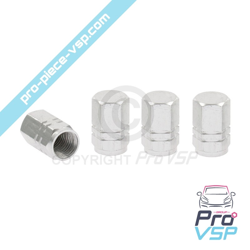 Gray aluminum valve cap