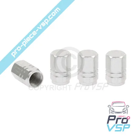 Bouchon de valve alu gris