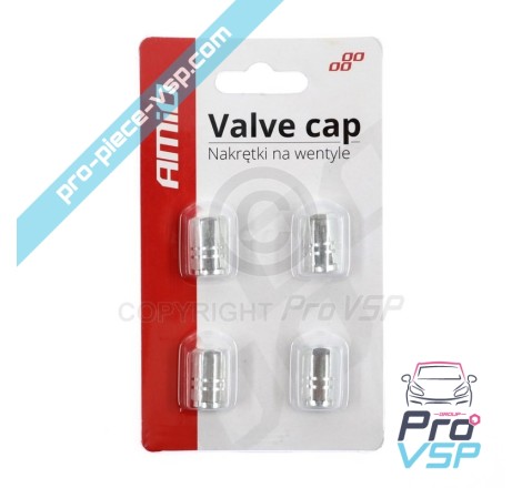 Gray aluminum valve cap