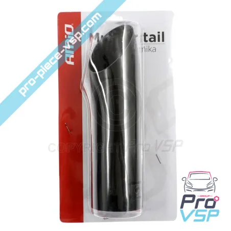 Sortie d'échappement noir