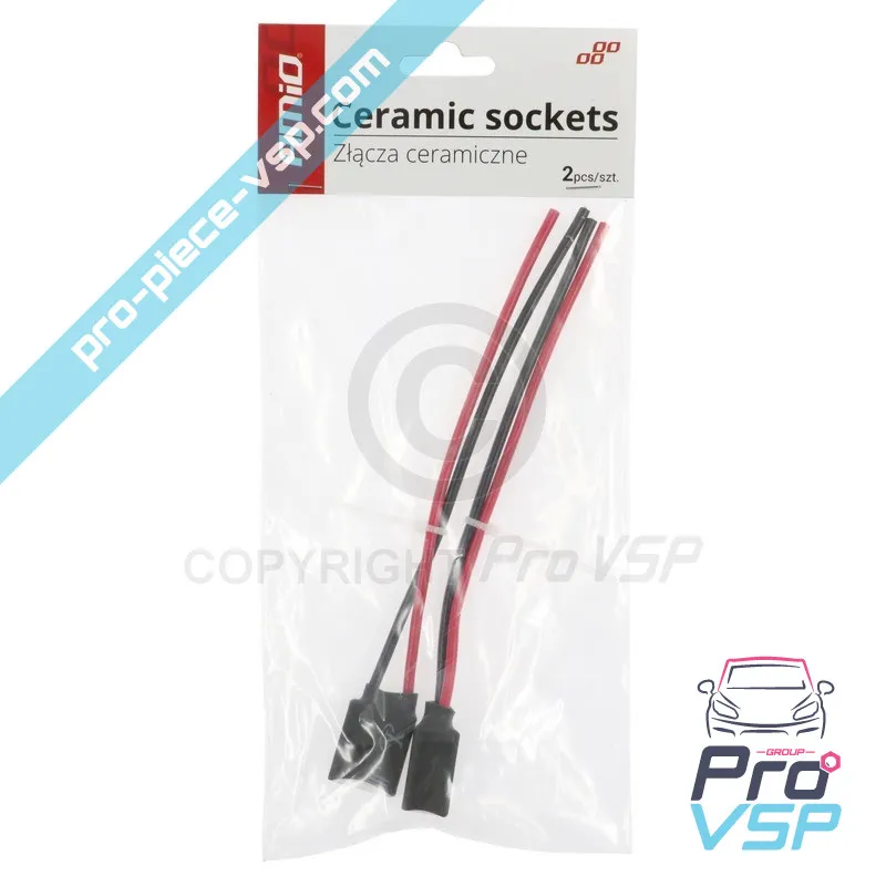 Conector bec